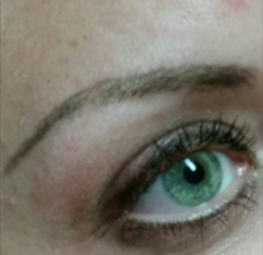 25-34 year old woman treated with Permanent Makeup before 2929314