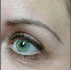 25-34 year old woman treated with Permanent Makeup 2929314