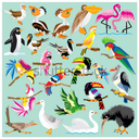 blured tucson_girl_715