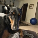 blured Spartangirl27