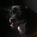 blured questions3312