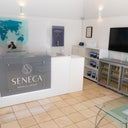 Seneca Hair Transplant - Glasgow - Account Suspended