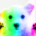 blured RainbowPuppy