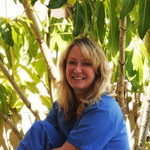 Kim Gillespie