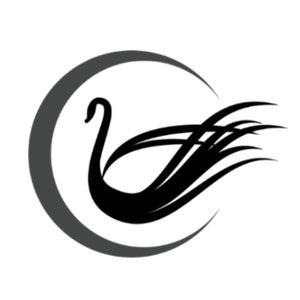 Swan Medical