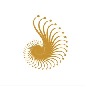 Perfection Plastic Surgery and Skin Care - Tucson