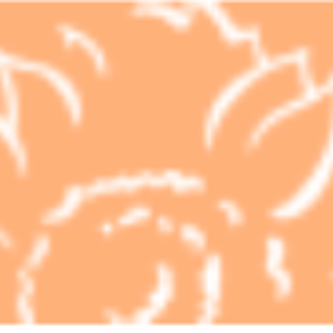 Vancouver Laser Skin Care Clinic