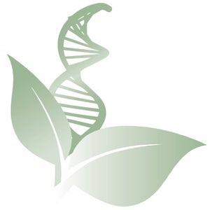 Regeneris Medical Boston - Westwood