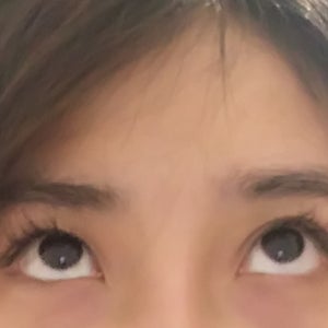 Eyelids Fold アイリッドフォールド　美容 楽天市場】【送料無料＆ポイント10倍】二重まぶた形成器 NEWアイリッド