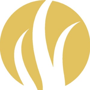 Hair Restoration Institute of Minnesota