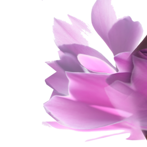 Orange County Liposuction Centers