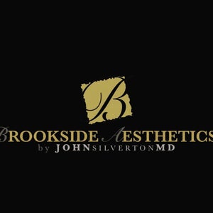 Brookside Aesthetics by John S. Silverton