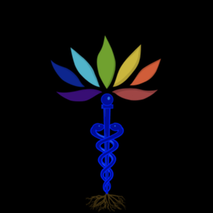 Mind Body & Soul Medical