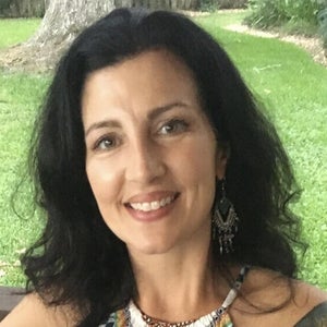 Jules Hollan