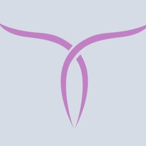 Totonchi Plastic Surgery - Westlake