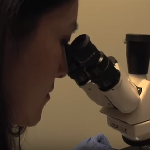 Comprehensive Dermatology Center of Pasadena - Pasadena