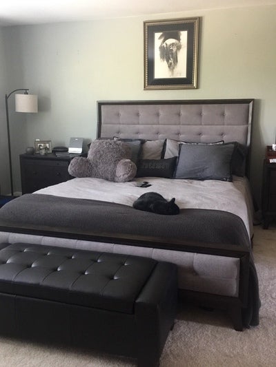 Is It Safe Healthy To Have Your Pet Cat Around You While Healing After Surgery Tummy Tuck My Fur Babies Lay On My Bed