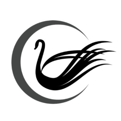 Swan Medical profile