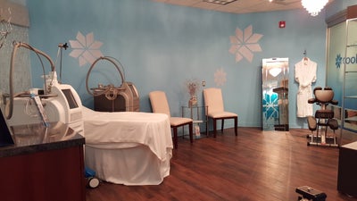 Plastic Surgery Arts & The Spa MD - Rochester Hills