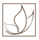 Connecticut Plastic Surgery Group