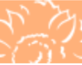 Vancouver Laser Skin Care Clinic