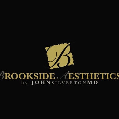 Brookside Aesthetics by John S. Silverton