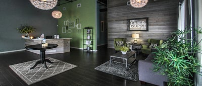 The Laser Lounge Spa - Sarasota