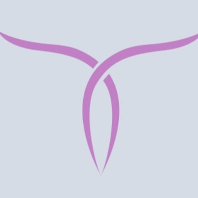 Totonchi Plastic Surgery - Westlake