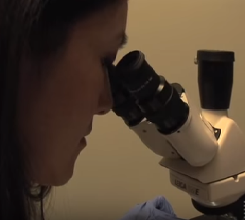Comprehensive Dermatology Center of Pasadena - Pasadena