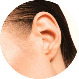 Ears