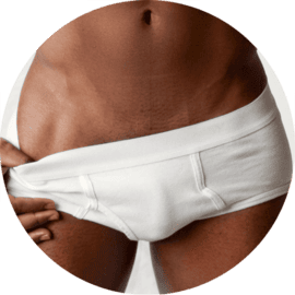 Male Genitals