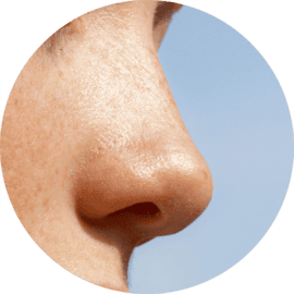 Nose