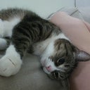 Snokitti77