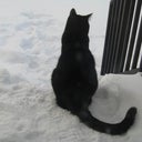 Meoow