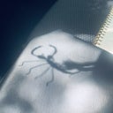traceybelle11