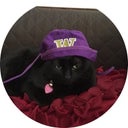 UW10