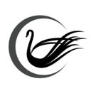 Swan Medical