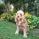 blured West Virginia Girl