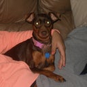 SissyGirl