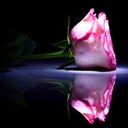 trubeauty