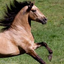 blured Annafrommelbourne