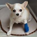 blured RSMember18469