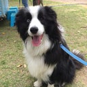 winnieblue