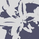 mflowers7