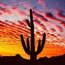 arizonagirl59