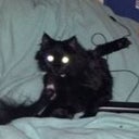 killerqueen