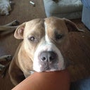 Franklincoop
