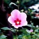 blured fashionfrk101