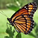HopefulMomma77