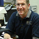 Robert J. Segal, MD